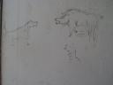 Boar hunt drawing 2