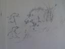 Boar hunt drawing 3